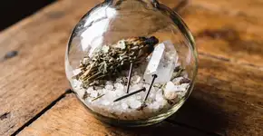 Foto: (Imagem sem texto alternativo disponivel ID [2679930])