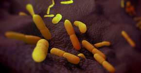 Foto: (royaltystockphoto/istock)