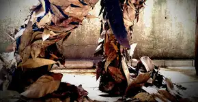 Foto: (Imagem sem texto alternativo disponivel ID [2238648])