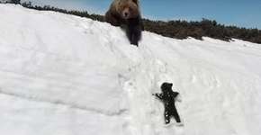 Foto: (Imagem sem texto alternativo disponivel ID [1866505])