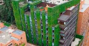 Colômbia abriga o maior jardim vertical do mundo; conheça