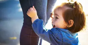 Foto: (Imagem sem texto alternativo disponivel ID [1606766])