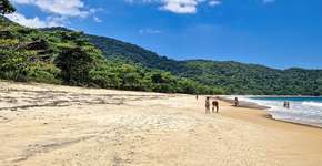 Foto: (Getty Images)