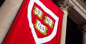 Foto: (APCortizasJr/iStock)