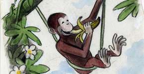 A onça, o macaco e a boneca/Histórias de Pescador