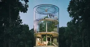 Projeto de casa em volta da árvore