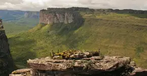 Foto: (Danielle Pereira/Flickr/Creative Commons)