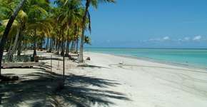 Descubra o paraíso de águas azuis e praias vazias de Alagoas