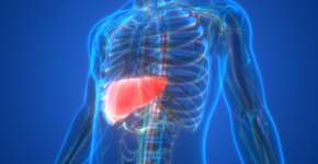 Foto: (iSTock/magicmine)