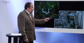 Meio ambiente e sustentabilidade