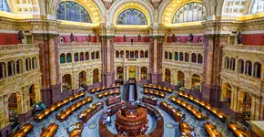 Bibliotecas revelam faceta cultural surpreendente de Washington, DC