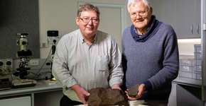 Homem guarda pedra por anos, na esperança de que seja ouro. Acabou sendo muito mais valiosa