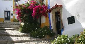 Foto: (Paulo Albuquerque)