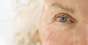 Foto: (Imagem sem texto alternativo disponivel ID [912163])