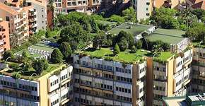 Em Mônaco, o verde é o novo ouro