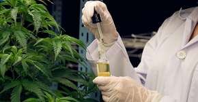 Foto: (iStock/Ralf Hahn)