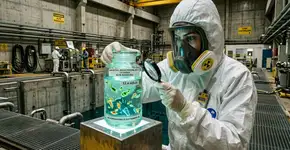 Vida foi encontrada sob os reatores danificados em Fukushima, e os detalhes sobre a radioatividade na água são horríveis