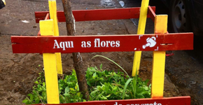 Roça de Rua ergue canteiros com poemas em meio à aridez da cidade