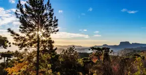 Foto: (paulobaqueta/iStock)