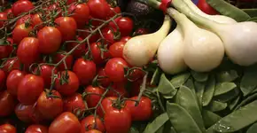 Foto: (Imagem sem texto alternativo disponivel ID [1603130])