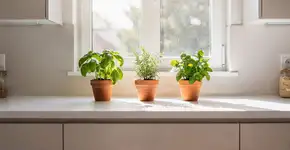 Foto: (Imagem sem texto alternativo disponivel ID [2687714])