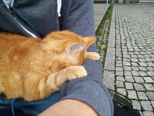 Crédito: Reprodução