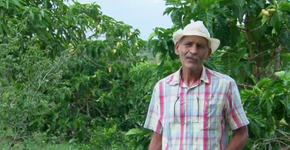 Professor planta milhares de árvores em cidade de Pernambuco
