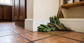 Chega de ratos e camundongos: um tempero de cozinha elimina as pragas imediatamente.