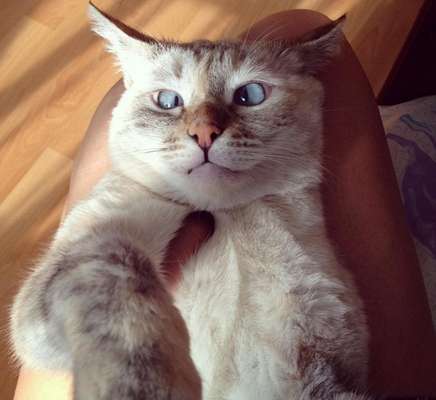 Reprodução / Instagram