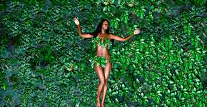 Foto: (Imagem sem texto alternativo disponivel ID [483127])