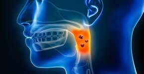 Foto: (iStock/libre de droit)