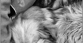 Foto: (Facundo Jose)