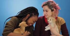 Foto: (Imagem sem texto alternativo disponivel ID [991294])