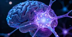 Foto: (Imagem sem texto alternativo disponivel ID [2670597])