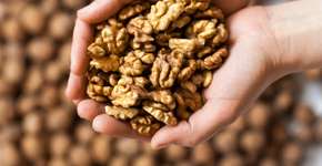 Foto: (rootstocks/istock)