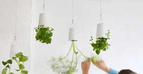 Foto: (Imagem sem texto alternativo disponivel ID [1065105])