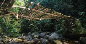 Foto: (Divulgação/Fundação Grupo Boticário)