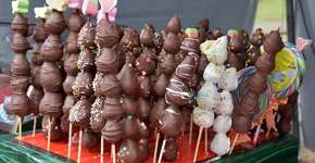 Foto: (Imagem sem texto alternativo disponivel ID [2230260])