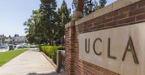 Foto: (LPETTET/iStock)