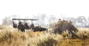 Turismo com propósito: experiências que regeneram destinos e transformam viajantes