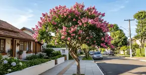 Foto: (Imagem sem texto alternativo disponivel ID [2771539])