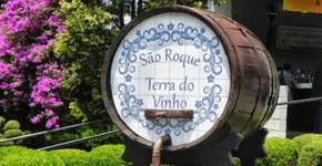 Rota do Vinho: faça um bate-volta com degustações em São Roque