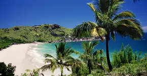 Foto: (SergioZacchi/iStock)