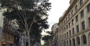 Pesquisa: as reivindicações do Movimento Passe Livre são justas?