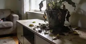 Foto: (Imagem sem texto alternativo disponivel ID [2685591])