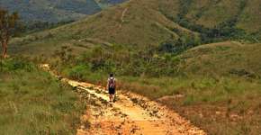 Parque Estadual do Juquery ganha trilha de mountain bike