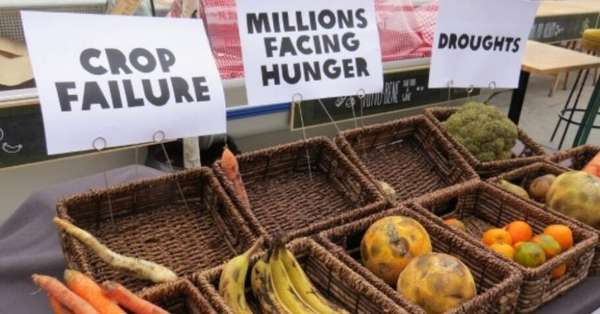 Então, o que seres humanos inteligentes e preocupados como você e eu devemos fazer diante de toda essa desgraça?