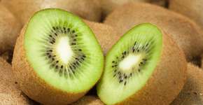 Poucas pessoas sabem como são chamados os pelos do kiwi e qual a função deles