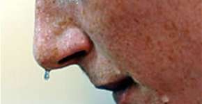 Foto: (Imagem sem texto alternativo disponivel ID [1895832])