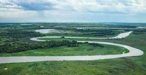 Pantanal: fogo ameaça biodiversidade da Estação Ecológica de Taiamã